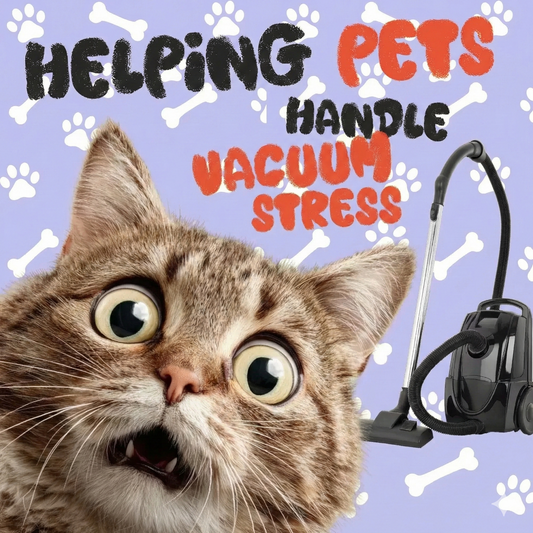 Help Your Pet Stay Calm During Vacuum Time